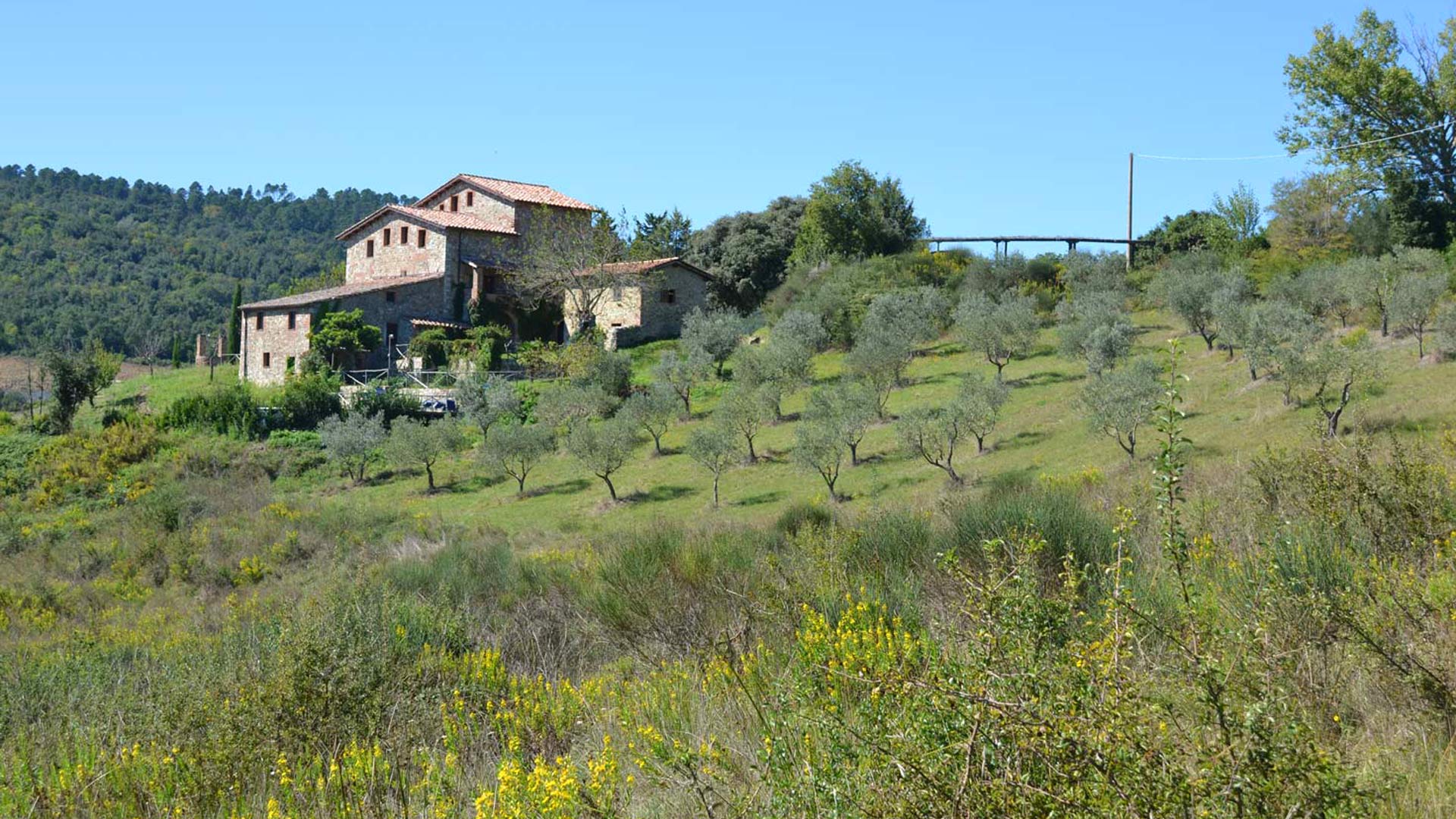 Palazzetto Farm House