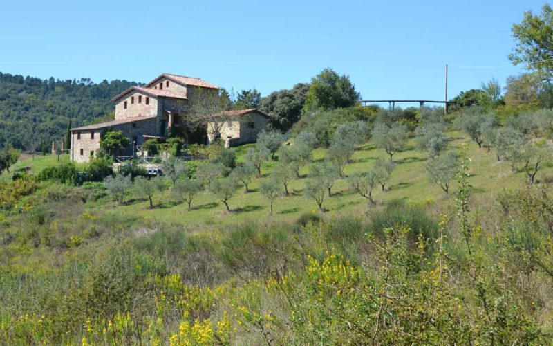 Palazzetto Farm House