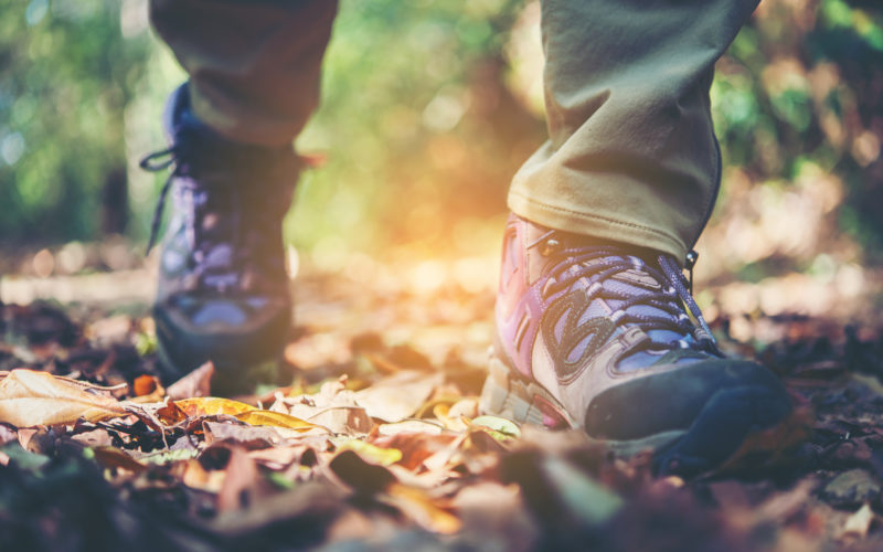 Trekking